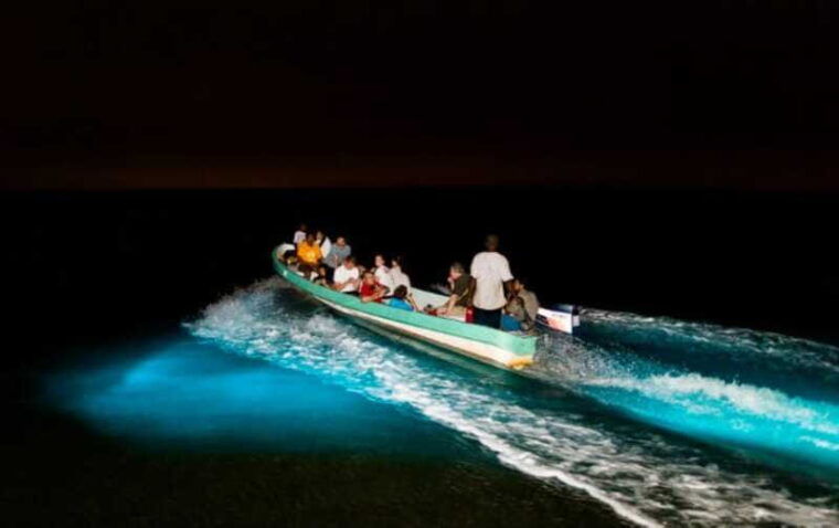 puerto-escondido-bioluminescence-night-spectacle