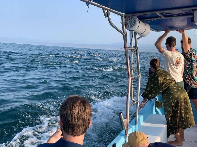 puerto-escondido-boat-tour-to-see-dolphins-and-marine-life