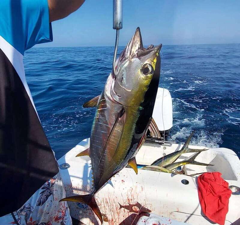 Puerto Escondido: Fishing Charter - An Authentic Deep-Sea Fishing Experience in Puerto Escondido