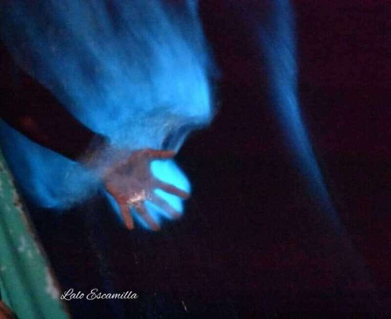 Puerto Escondido: Manialtepec Lagoon Bioluminescence Tour - Key Points