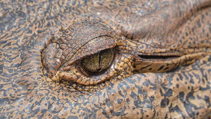 puerto-escondido-oaxaca-coast-wildlife-ecotour
