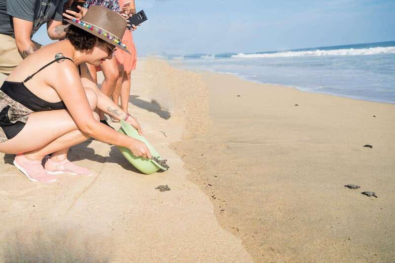 puerto-escondido-turtle-release-experience