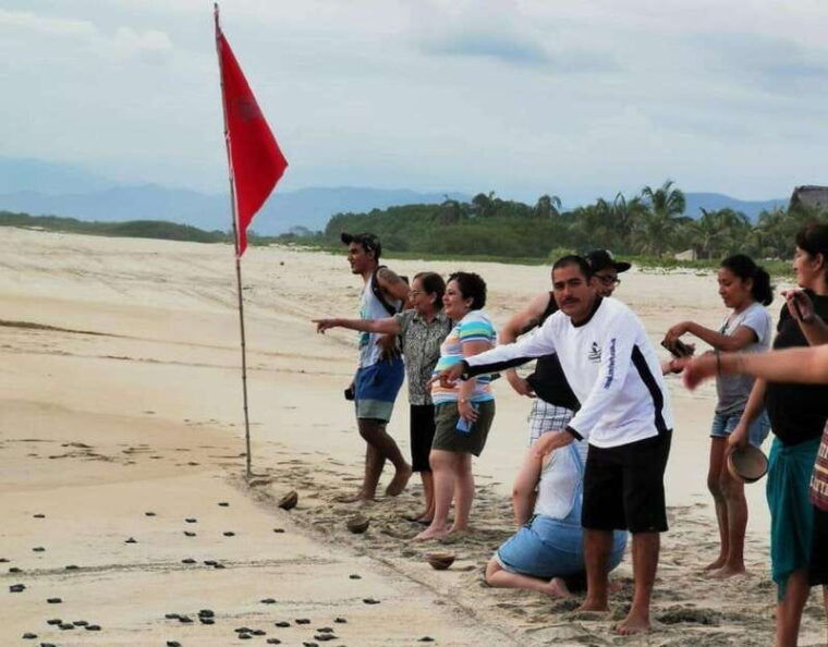 puerto-escondido-turtle-release-experience