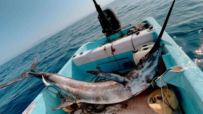 Puerto: Fishing Experience Marlin, Sailfish, Tuna or Dorado - What Past Participants Say