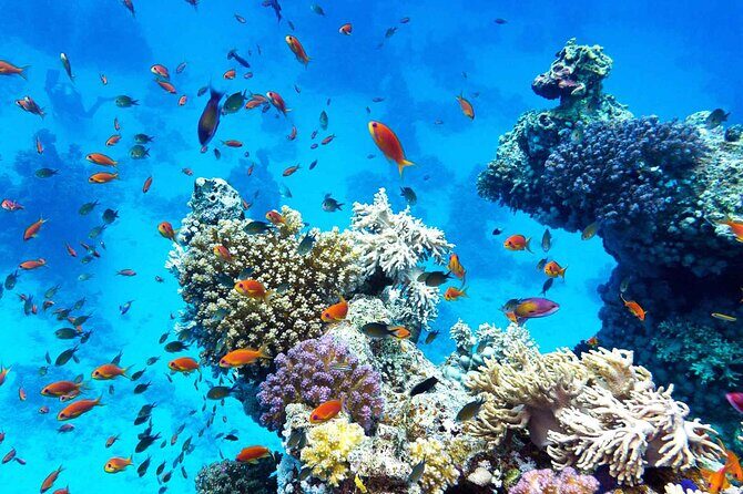 Puerto Galera Island Hopping - Exploring the Itinerary in Detail