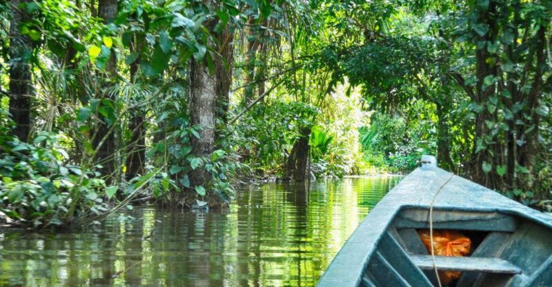 puerto-maldonado-2-day-peruvian-tambopata-jungle-trip