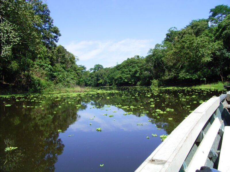 puerto-maldonado-2-day-peruvian-tambopata-jungle-trip