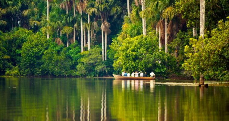 puerto-maldonado-2-day-peruvian-tambopata-jungle-trip