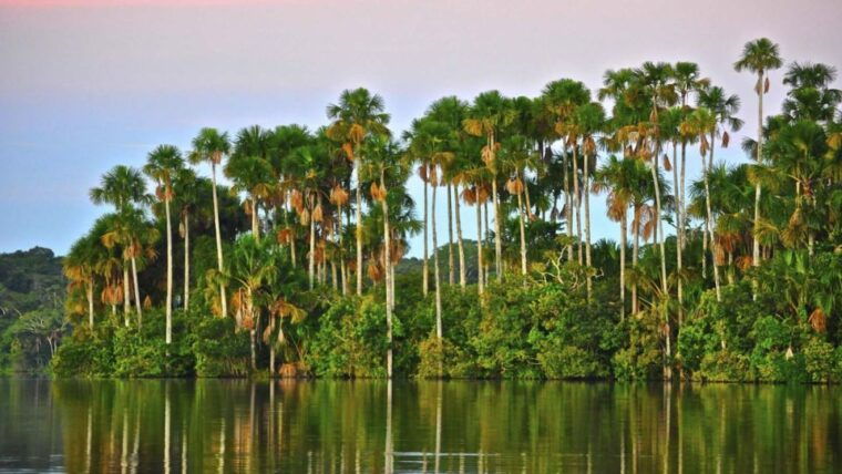 puerto-maldonado-2-day-peruvian-tambopata-jungle-trip