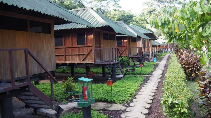 puerto-maldonado-3-day-tour-to-tambopata-national-reserve