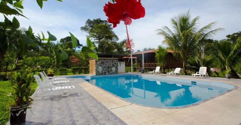 puerto-maldonado-4-day-tambopata-national-reserve-tour