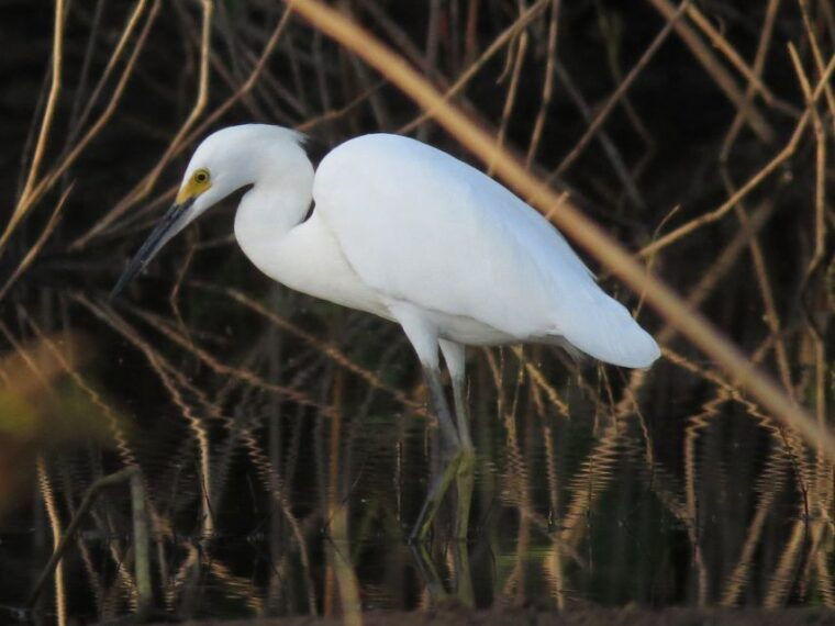 puerto-maldonado-4-day-tambopata-rainforest-tour