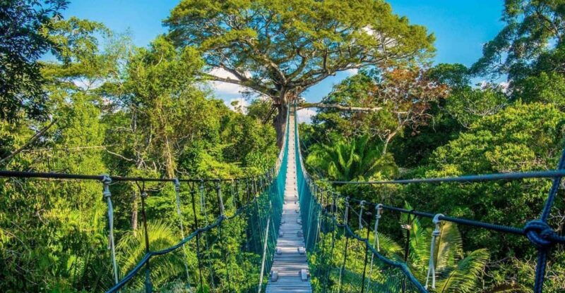 puerto-maldonado-jungle-adventure-zipline-canopy-kayak