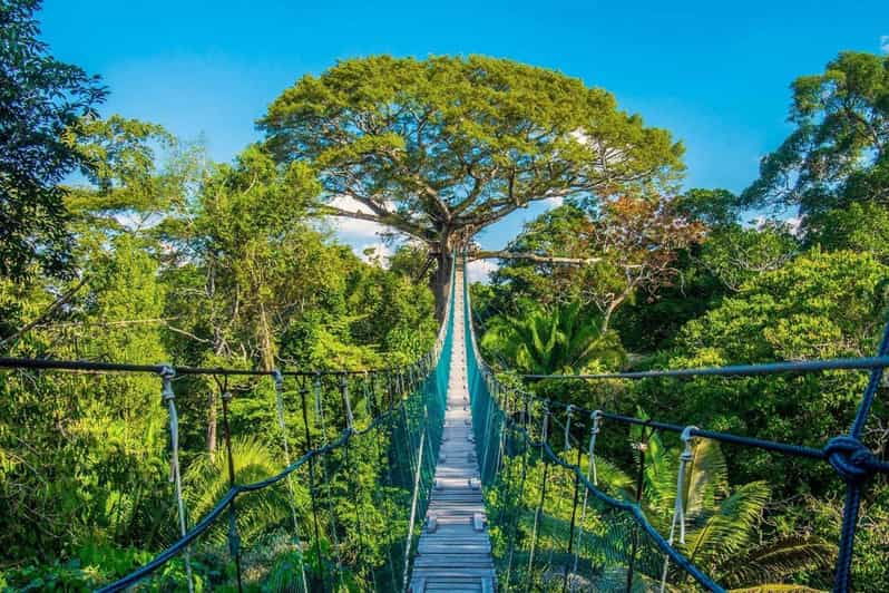 puerto-maldonado-jungle-adventure-zipline-canopy-kayak