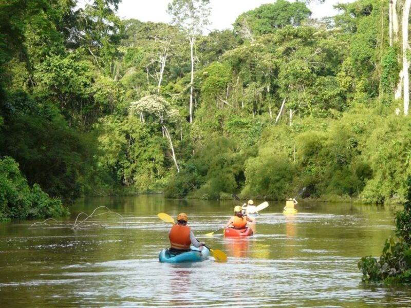 puerto-maldonado-kayak-and-zip-line-adventure-monkey-isla