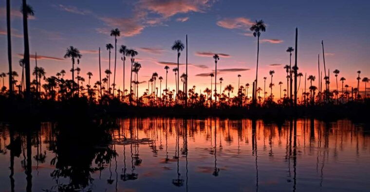 puerto-maldonado-lake-yacumama-sunset-and-piranha-fishing