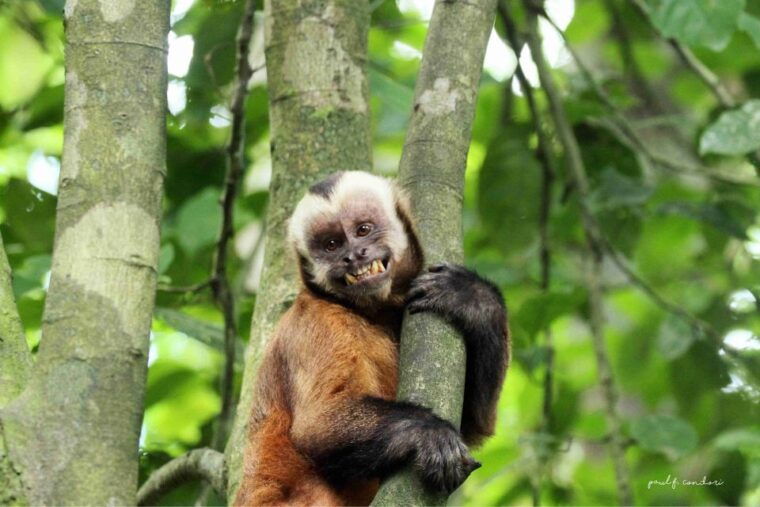 puerto-maldonado-sandoval-lake-4-day-3-night-guided-tour