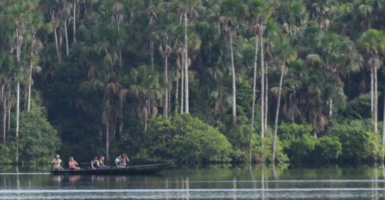 puerto-maldonado-sandoval-lake-full-day-trip-with-canoeing