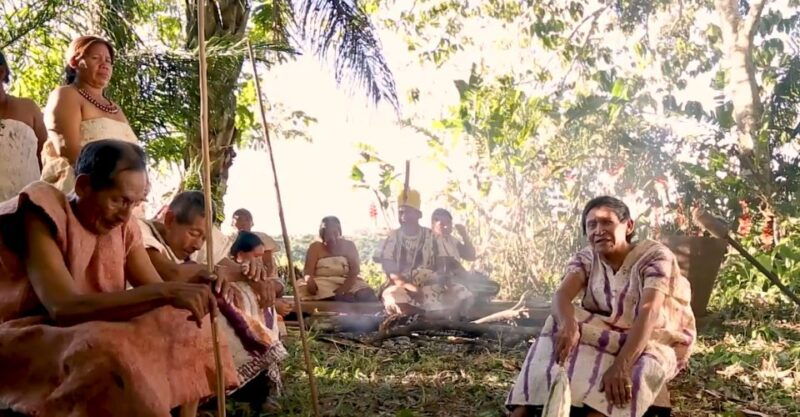 puerto-maldonado-tambopata-national-reserve-4-days-3