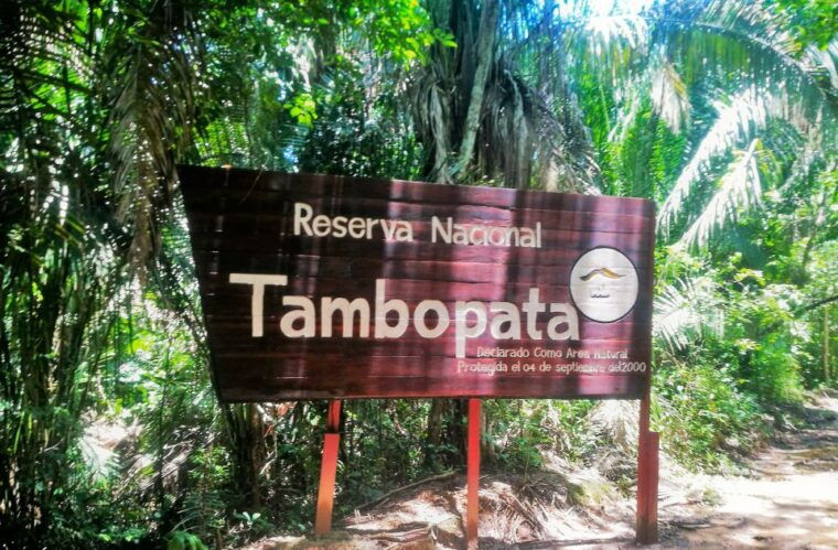 puerto-maldonado-tambopata-national-reserve-4-days-3