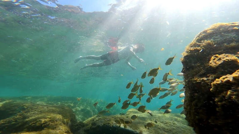 Puerto Mogán: Guided Adventure Kayak Tour in Caves & Snorkel - Who Is This Tour Perfect For?