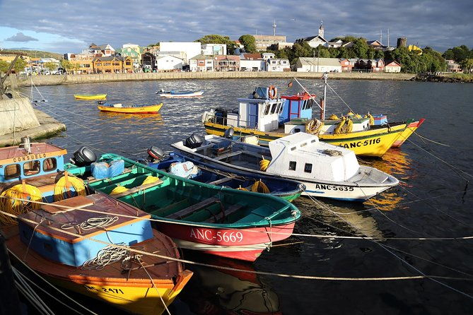puerto-montt-full-day-chiloe-island-visiting-ancud-caulin-lacuy