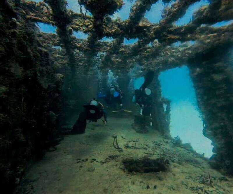 Puerto Morelos: C-56 Shipwreck & Reef for Certified Divers - Frequently Asked Questions