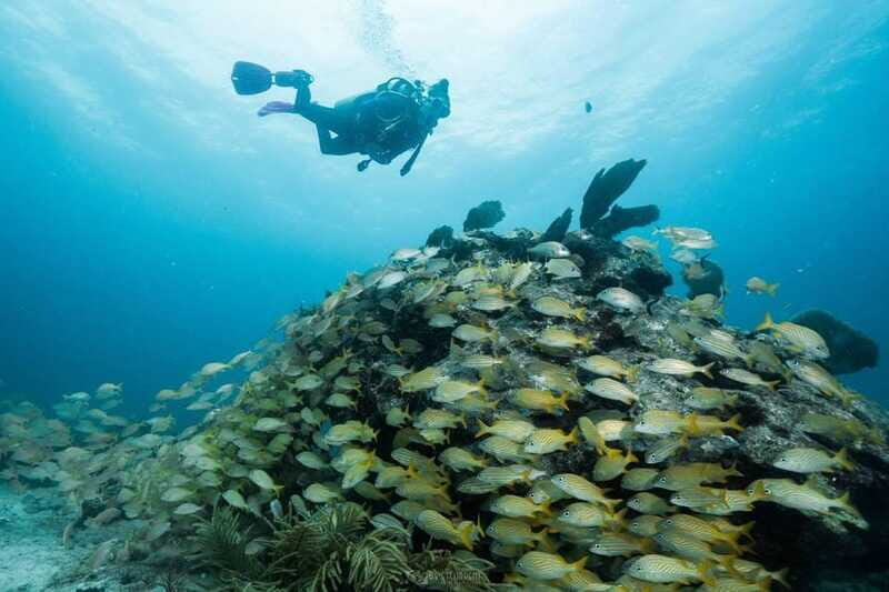 Puerto Morelos: Discover Maravilla Cenote - Who Should Consider This Tour?