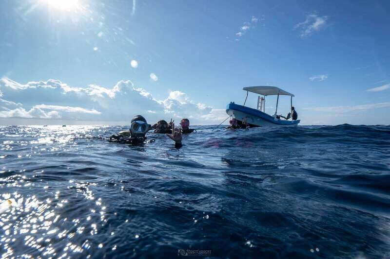 Puerto Morelos: Diver Certification - The Value of Certification and Future Diving