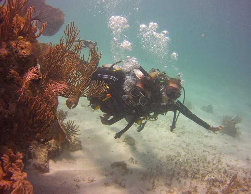 Puerto Morelos: Diving at Puerto Morelos Reef - Who Is This Tour Best For?