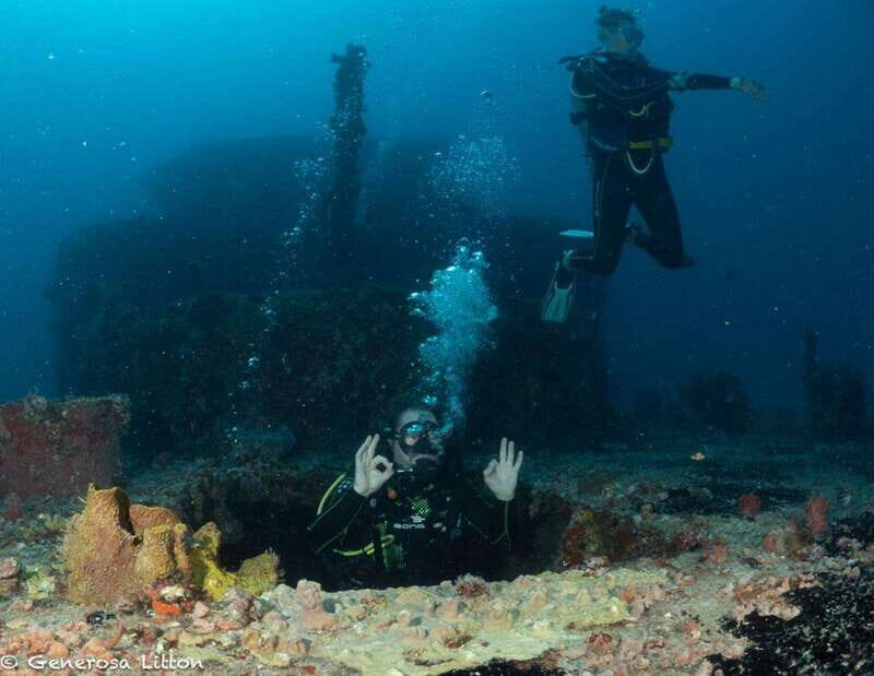 Puerto Morelos: Diving at the C56 Shipwreck - Marine Life and Underwater Highlights
