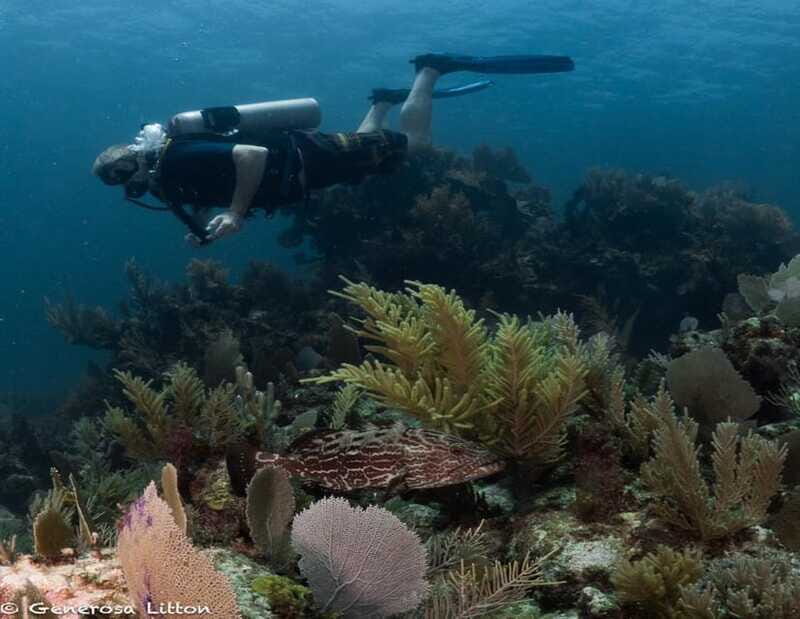 Puerto Morelos: Diving at the C56 Shipwreck - Final Thoughts