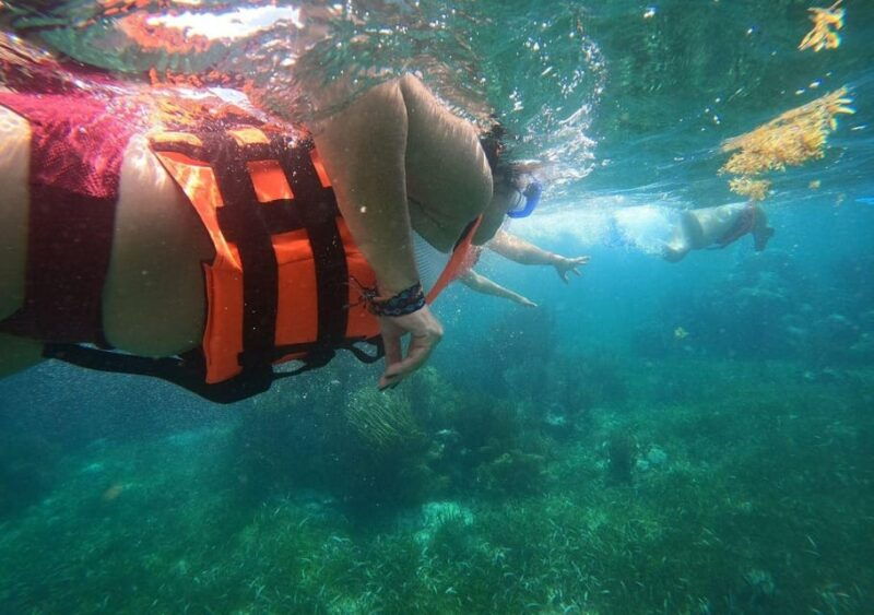 puerto-morelos-reef-snorkeling-adventure-with-transport