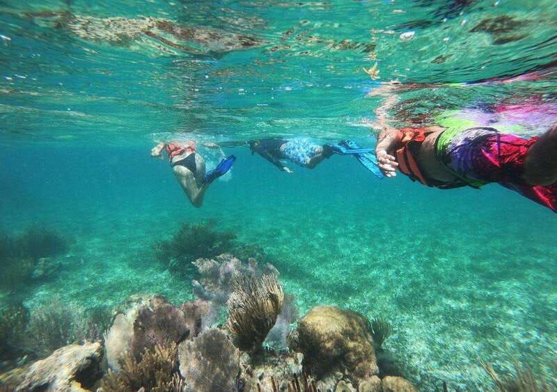 puerto-morelos-snorkel-in-coral-reef-with-transportation