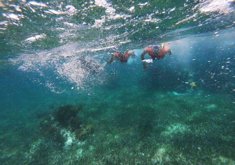 puerto-morelos-snorkel-in-coral-reef-with-transportation