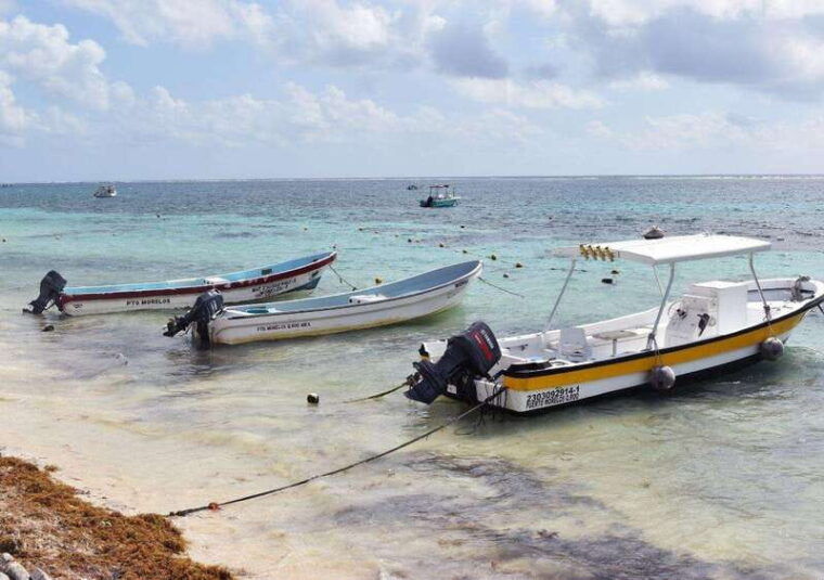 puerto-morelos-snorkel-in-coral-reef-with-transportation