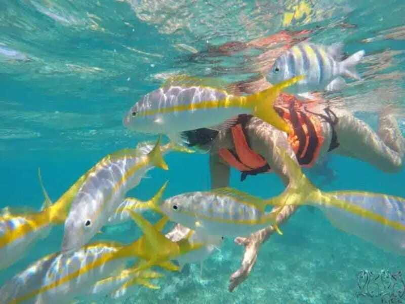 puerto-morelos-snorkeling-at-the-national-reef-park