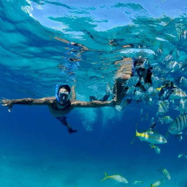 puerto-morelos-snorkeling-at-the-national-reef-park