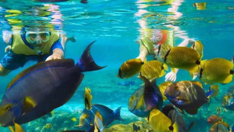 puerto-morelos-snorkeling-at-the-national-reef-park