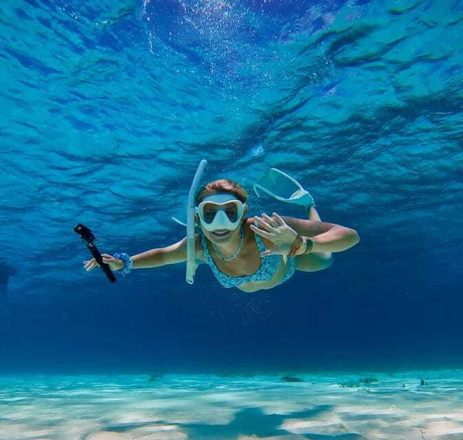 puerto-morelos-snorkeling-discover-vibrant-underwater-life