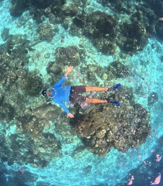 puerto-morelos-snorkeling-discover-vibrant-underwater-life