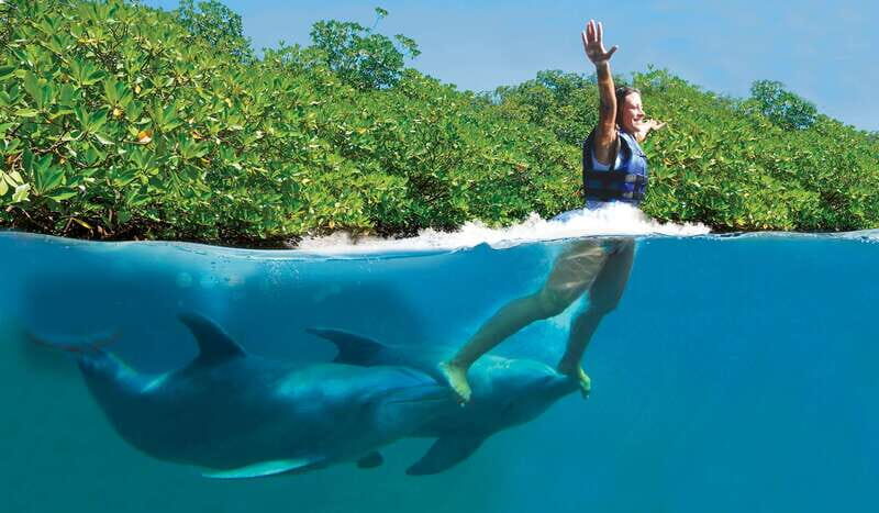 Puerto Morelos: Swim with dolphins Supreme - An Honest Look at the Experience