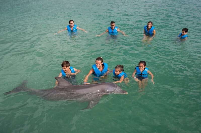 Puerto Morelos: Swim with dolphins Supreme - Location and Logistics