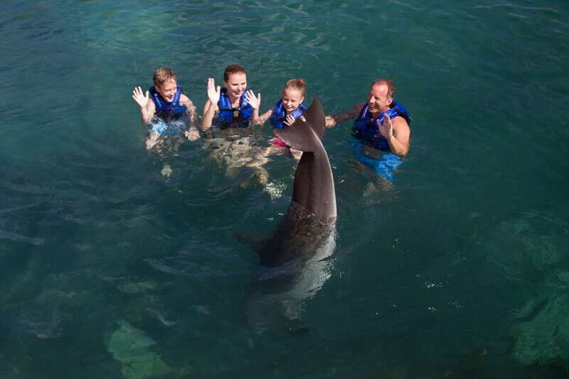 Puerto Morelos: Swim with dolphins Supreme - Pricing and Value