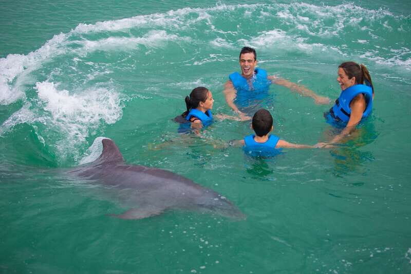 Puerto Morelos: Swim with dolphins Supreme - The Sum Up
