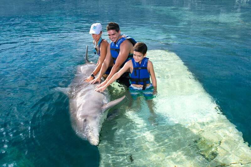 Puerto Morelos: Swim with dolphins Supreme - FAQ
