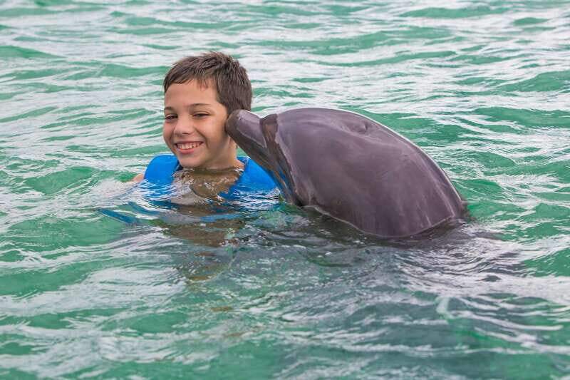 Puerto Morelos: Swim with Dolphins - Key Points