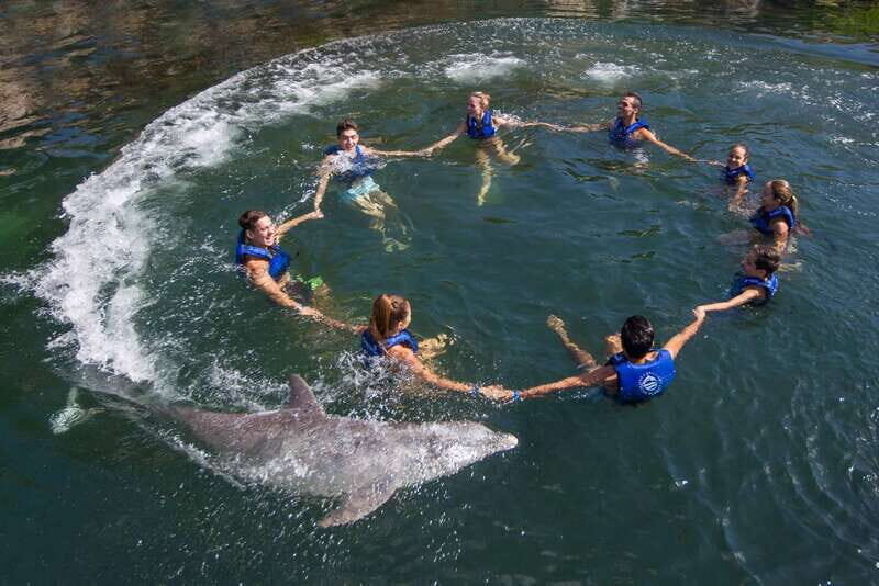 Puerto Morelos: Swim with Dolphins - What to Expect from the Dolphin Encounter