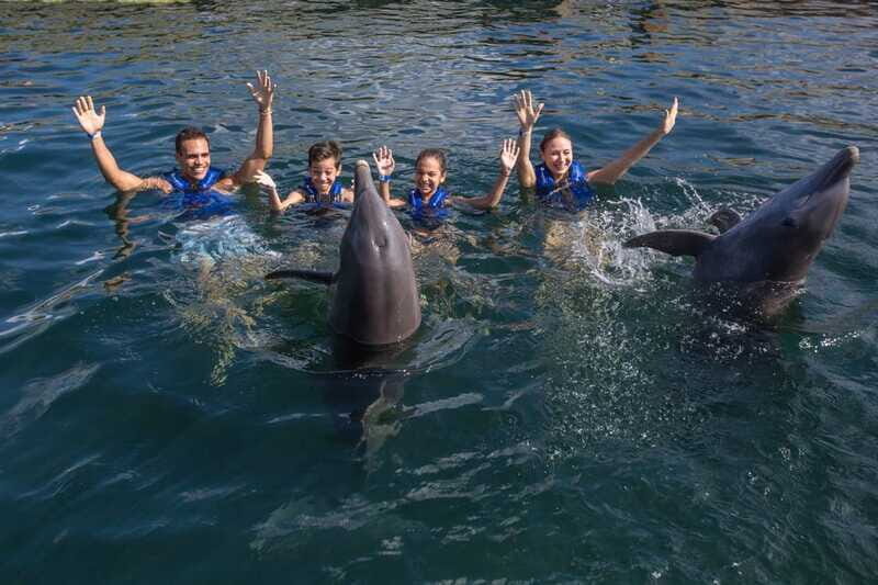 Puerto Morelos: Swim with Dolphins - FAQ