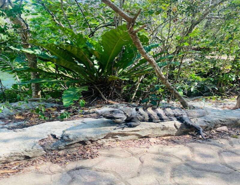 Puerto Morelos: Tour to Chichén Itzá and Valladolid - FAQ